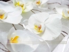 weddings_7_b